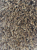 133 Mahgany 768x1024