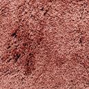 Perugia 305 wine red